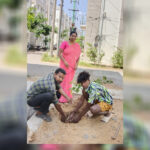 Environment Programme